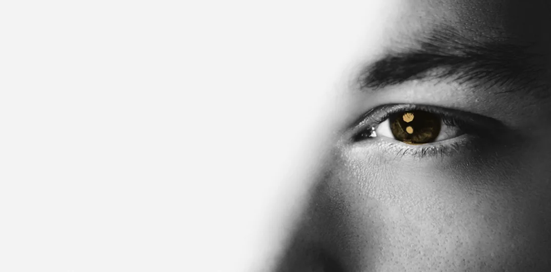vision